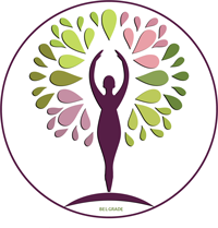 Serenity Massage logo
